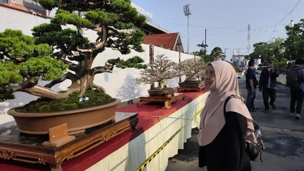 Ratusan Bonsai Cantik dan Unik Mejeng di Ajang Java Master Pati