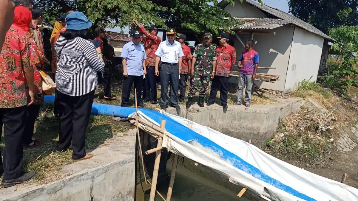 Brebes Diminta Memanfaatkan Pupuk dan Pestisida Secara Tepat