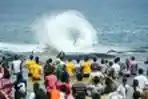 Sembilan Ekor Paus Terdampar di Pantai Aceh