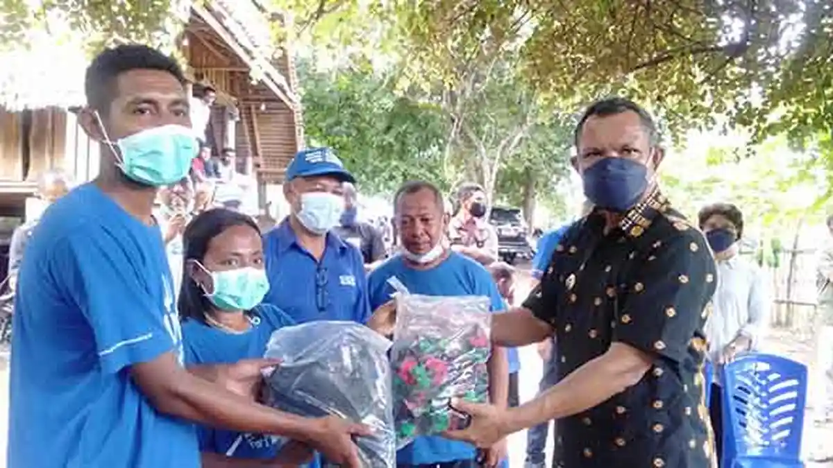 Bridge Academi Nagekeo Hasilkan Petani Muda Siap Kerja