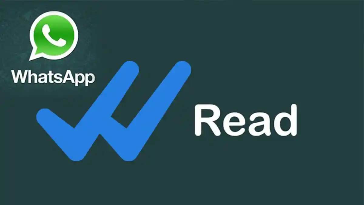 Selain Centang Biru, Ternyata Ada Cara Ini Untuk Tahu Kapan Pesan WhatsApp Dibaca!