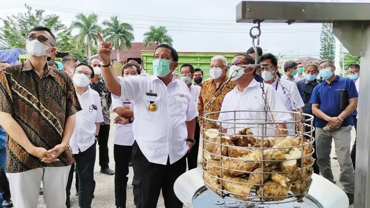 Pemprov Lampung Sepakat Harga Singkong Rp 900 per Kg dari Petani