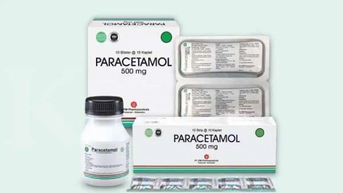 Pemprov DKI Tindaklanjuti Temuan Paracetamol Tinggi di Air Laut Ancol dan Angke