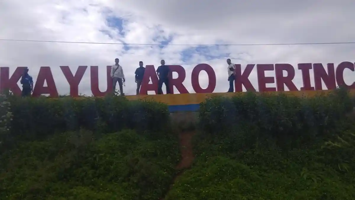 Untuk Memuaskan Wisatawan, PTPN Kerinci akan Mengembangkan Agrowisata di Perkebunan Teh