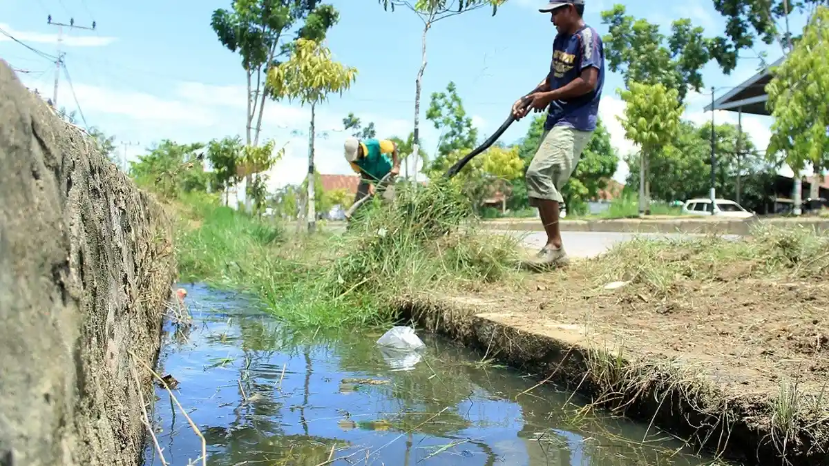 Musim Hujan, Dinas Kesehatan Berau Antisipasi Merebaknya DBD, Masyarakat Harus Aktif