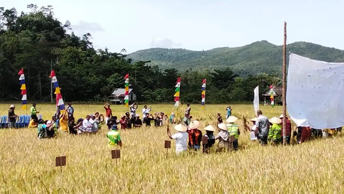 Kelompok Tani Obi Halmahera Selatan Khwatir Dampak Lingkungan dari PT Poleko