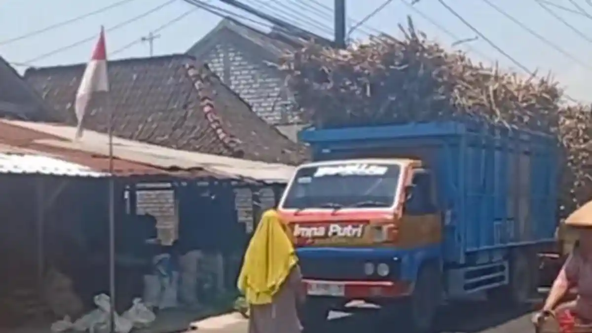 Sosok Tinuk, Emak-emak Pati yang Viral Hadang Truk Tebu Sambil Joget-joget hingga Tiduran, ODGJ?
