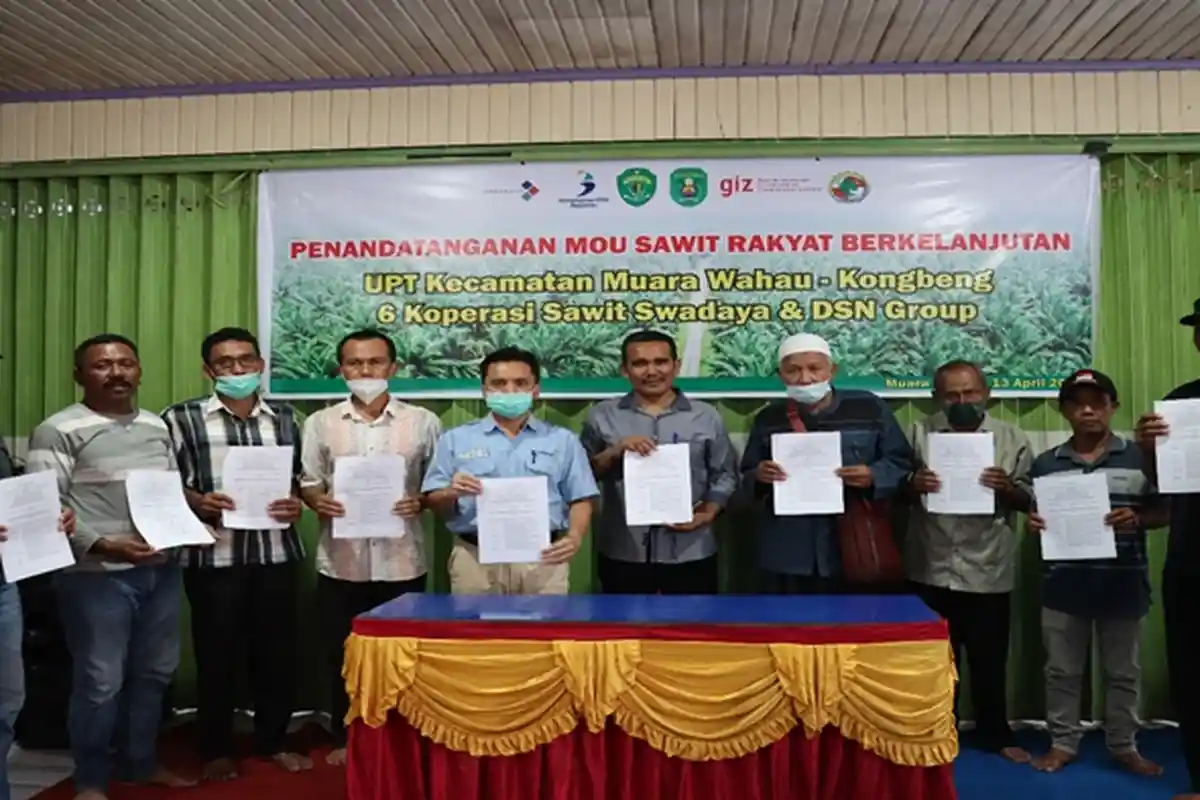 6 Koperasi di Kutim Teken MoU Pengembangan Sawit Rakyat Berkelanjutan dengan DSN Group
