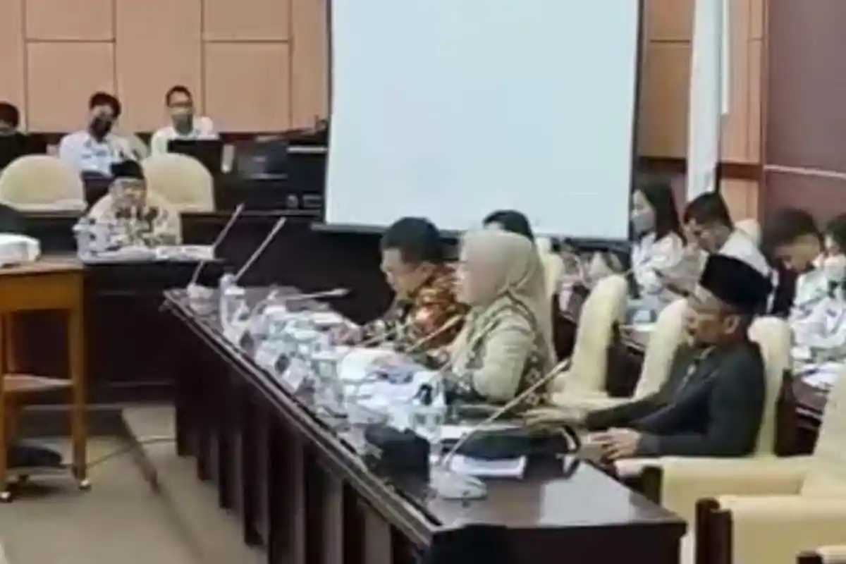 Elviana Minta Gubernur Jambi Kirim Proposal Pelebaran Jalan ke DPD RI
