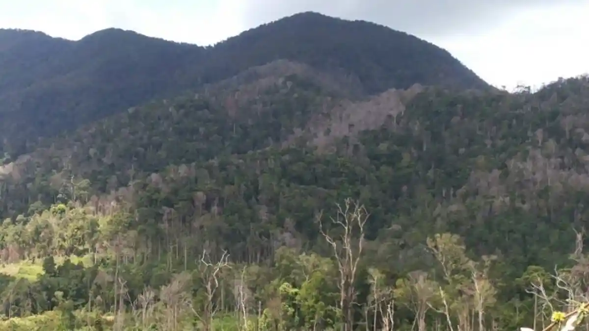 Misteri Hilangnya Mahasiswa di Bukit Maros, Ada Cerita tentang Naga dan Atok Putih