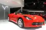 Chevrolet Corvette Stingray di IIMS 2014