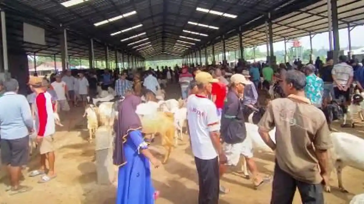 PMK Masih Merebak, Pasar Hewan di Jepara Ditutup Hingga Waktu Tidak Ditentukan