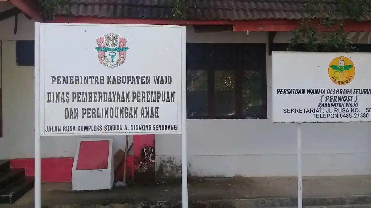 Segini Kasus Kekerasan Anak Ditangani DP3A Wajo