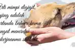 Arti-Mimpi-Dijilat-Anjing-Pertanda-Enjoy-Menjalani-Pekerjaan-hingga-Makin-Akrab-dengan-Sahabat-Qarib.jpg