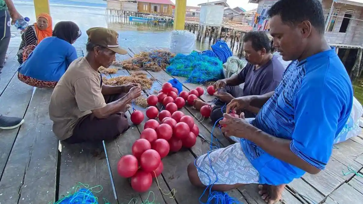 Disebut Tak Punya Data Potensi Rumput Laut di Pulau Taliabu Maluku Utara, Ini Kata Pemkab