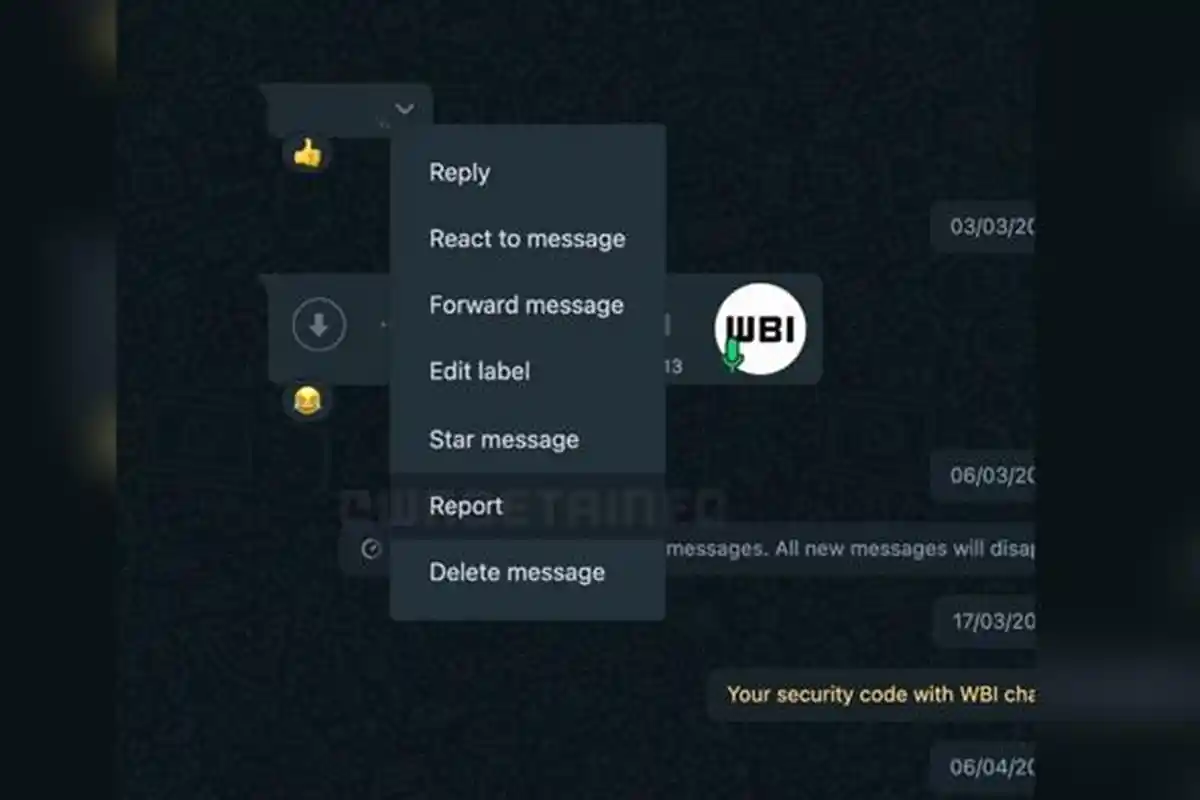 WhatsApp Web Siapkan Fitur Report Pesan Tertentu, Bisa Laporkan Chat yang Merugikan