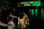 Nocturnal-Encounter-2026.jpg
