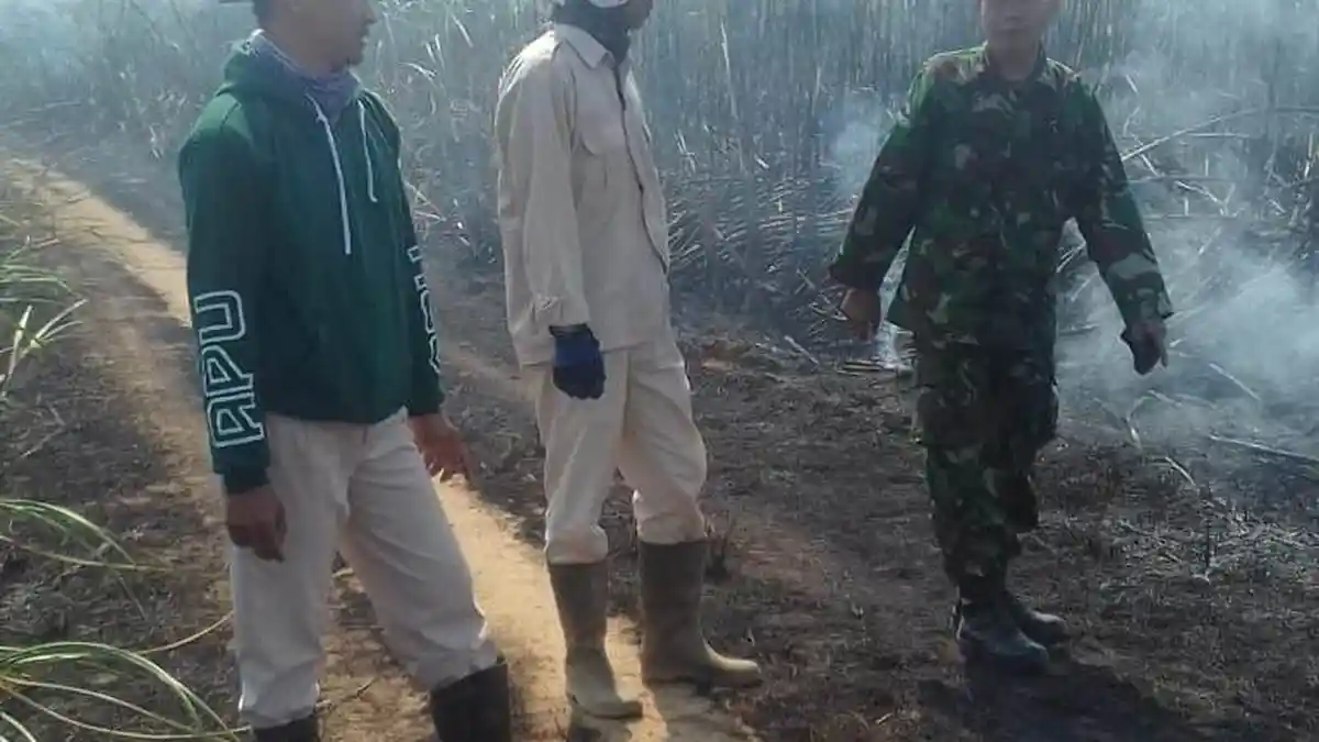 Dandim Way Kanan Imbau Masyarakat dan Perusahaan Tidak Lakukan Pembakaran Lahan