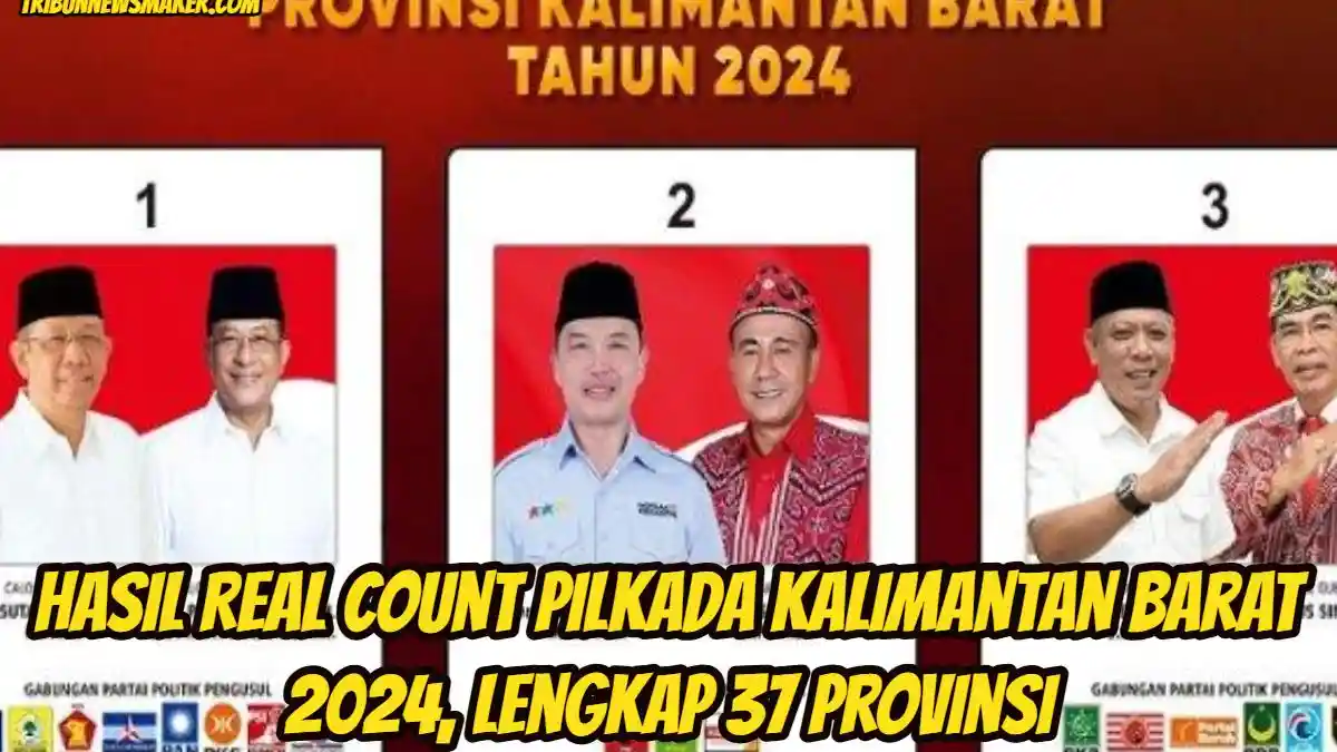 Hasil Real Count Pilkada Kalimantan Barat 2024, Lengkap 37 Provinsi, Darwis-Rizal Lawan Kotak Kosong