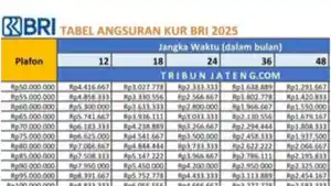 KUR-BRI-Tabel-angsuran-KUR-BRI-2025-Pelaku-UMKM-berkesempatan.jpg