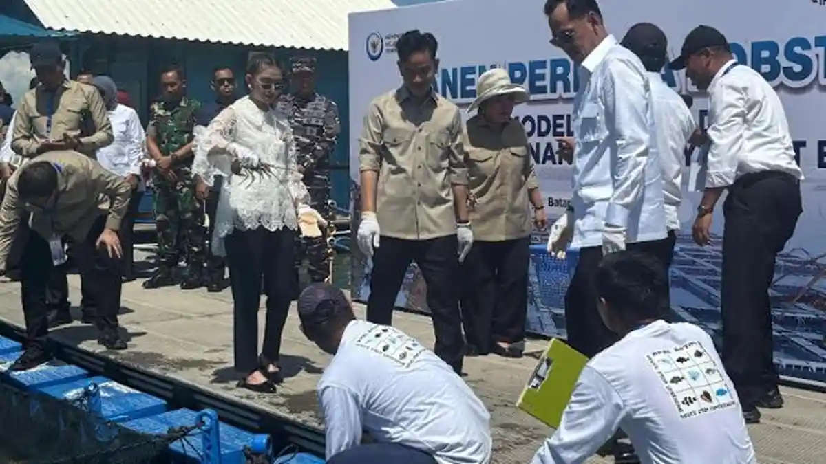 Ditemani Selvi Ananda & Titiek Soeharto, Gibran Tinjau Panen Perdana Lobster di Batam