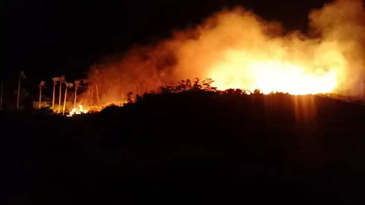 Dua Hektare Perkebunan Warga di Teupin Blang Sabang Terbakar, Diduga Imbas Pembakaran Bonggol Kelapa