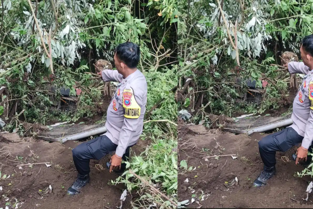 Kecelakaan Jip Bromo Masuk Jurang di Probolinggo, 2  WNA Asal China Bisa Selamat