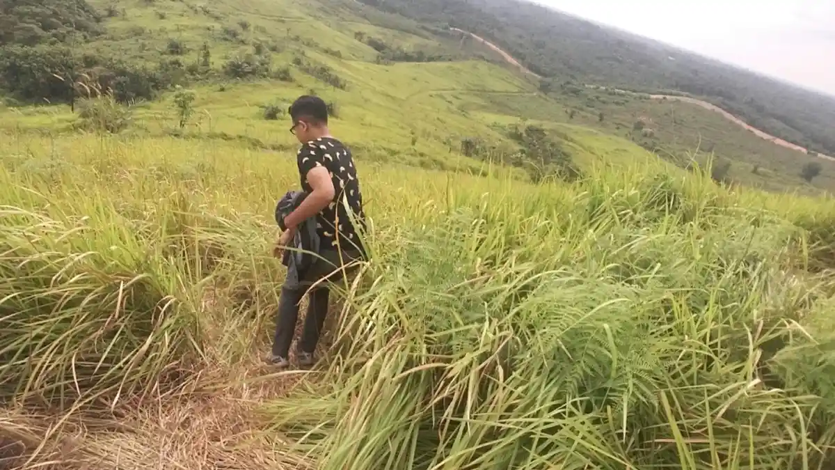 Ada Bukit Ilalang Teletabuies di Batanghari, Jadi Tujuan Wisata Baru