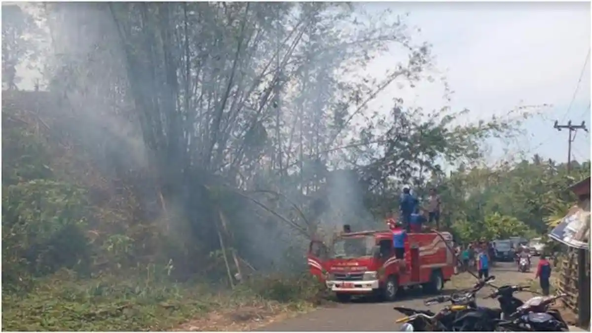 Kebakaran Lahan di Lintang Kanan Empat Lawang, Api Merambat Cepat Nyaris Bakar Tanaman Warga