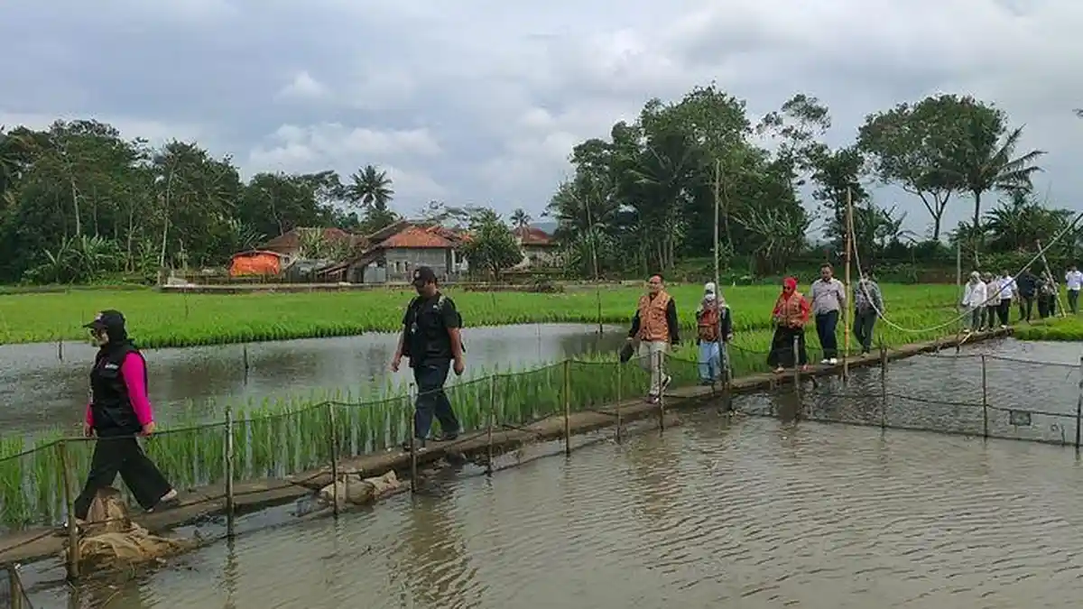 KPU Kuningan Maraton Lakukan Pencocokan dan Penelitian Data Pemilih Pilkada 2024, Ini Hasilnya
