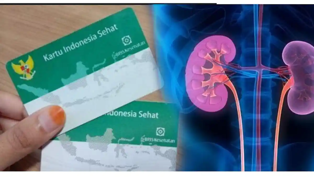 Catat! 3 Penyakit Ginjal yang Ditanggung BPJS Kesehatan, Gagal Ginjal Akut Termasuk