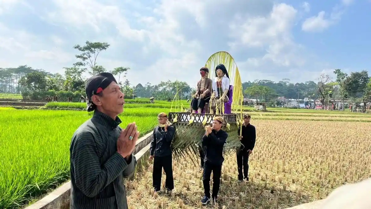 Menjelajahi Tradisi Unik Manten Pari di Wonosobo: Ritual Kuno Menjemput Dewi Sri