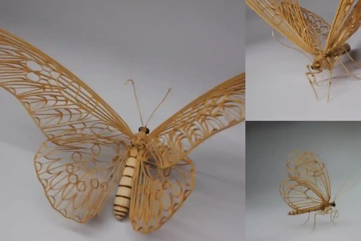 Tes Kepribadian - dengan Memilih Gambar Kupu-kupu Dibawah ini, Kamu Bisa Tahu Karakter Kamu Loh!