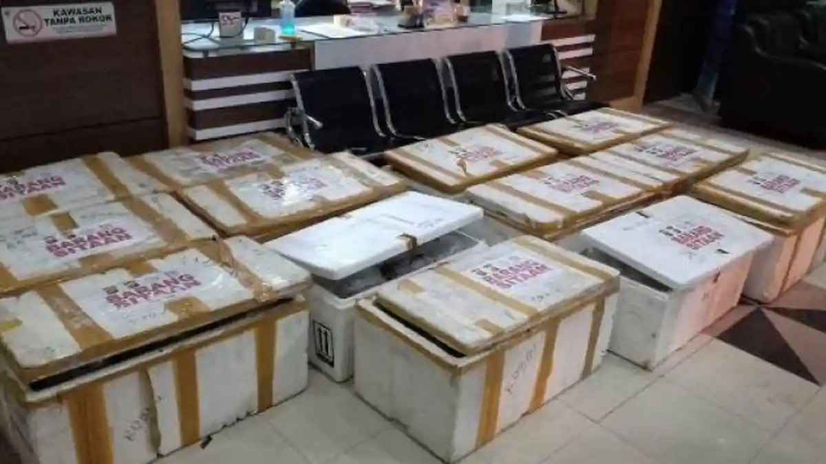 Polres Muarojambi Amankan Puluhan Ribu Baby Lobster