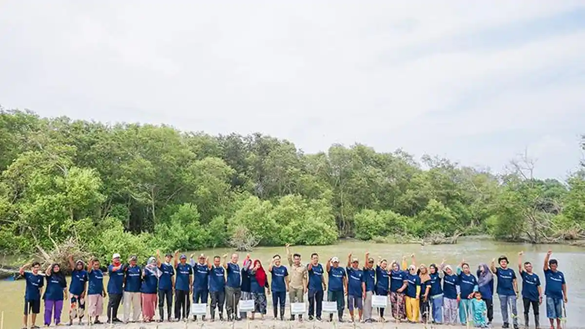 Peringati Hari Mangrove Sedunia, Yagasu Gelar Aksi Tanam Mangrove di Desa Paluh Sabaji