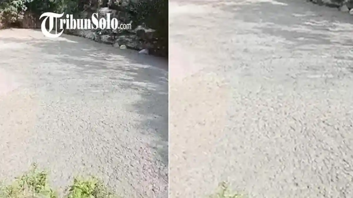 BREAKING NEWS: Di Boyolali Ada Embung Isinya Kotoran Ayam, Baunya Teror Warga