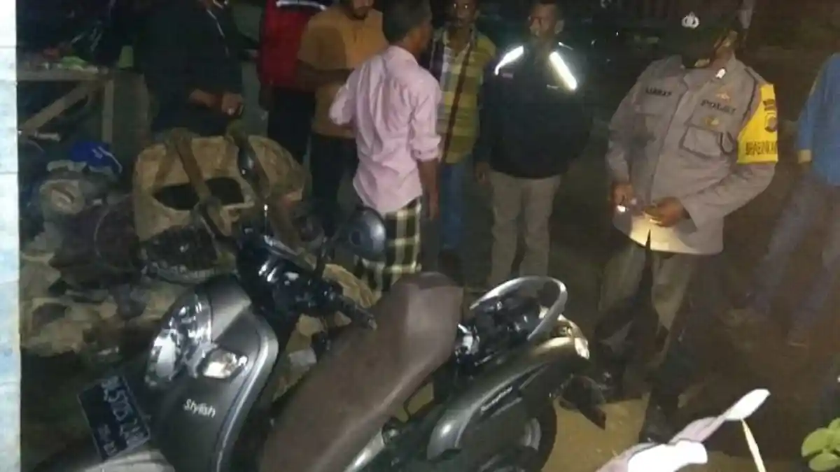 Sepmor Scoopy Rusak Berat Tertimpa Pohon Kelapa di Juli, Pengendaranya Luka-luka