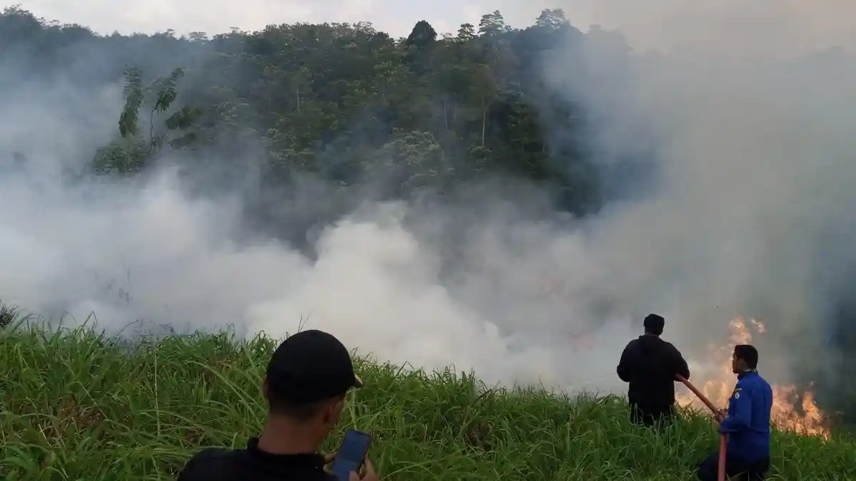 4 Hektare Lahan Ditanami Pohon Serai Terbakar di Bener Meriah