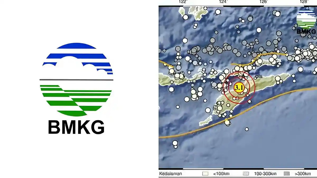 Gempa Hari Ini M 3.1 Guncang Belu NTT, Cek Kedalaman dan Koordinat via BMKG
