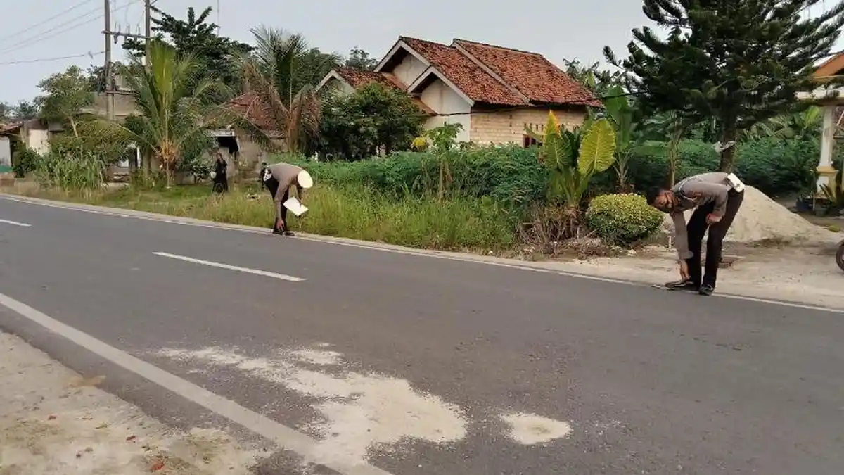 Kronologi Kecelakaan Maut di Tulangbawang yang Renggut Nyawa Pemotor