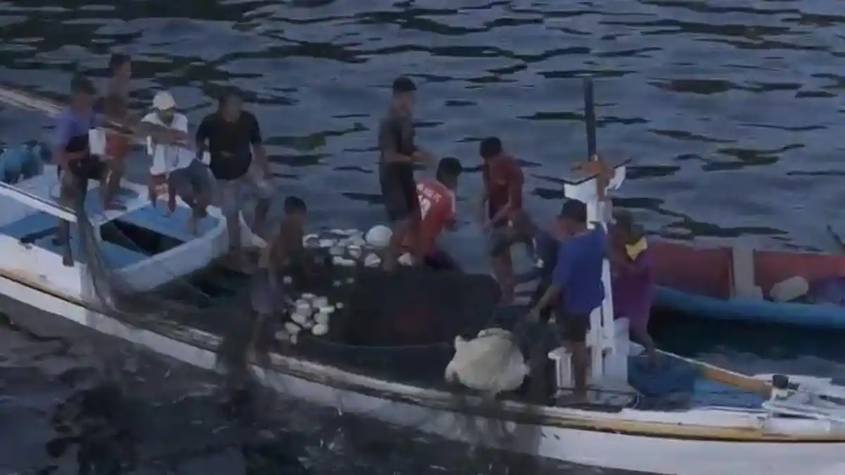 Sekelompok Nelayan Tangkap Penyu di Perairan Pulau Solor Flores Timur