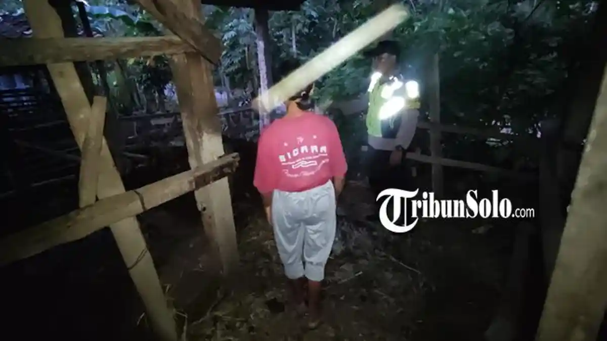 Curiga Dengar Suara dari Belakang Rumah, Setelah Dicek Ternyata Sapi Milik Warga Wonogiri Hilang