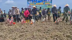 menanam-jagung-pada-program-pula-jagong-raya-d.jpg