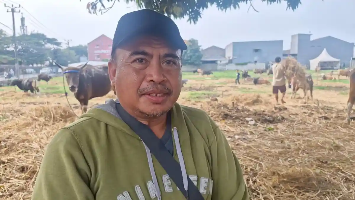 Kisah Amir, Pedagang Sapi Kurban di Tangerang yang Raup Omzet Rp 2 Miliar Meski Penjualan Lesu