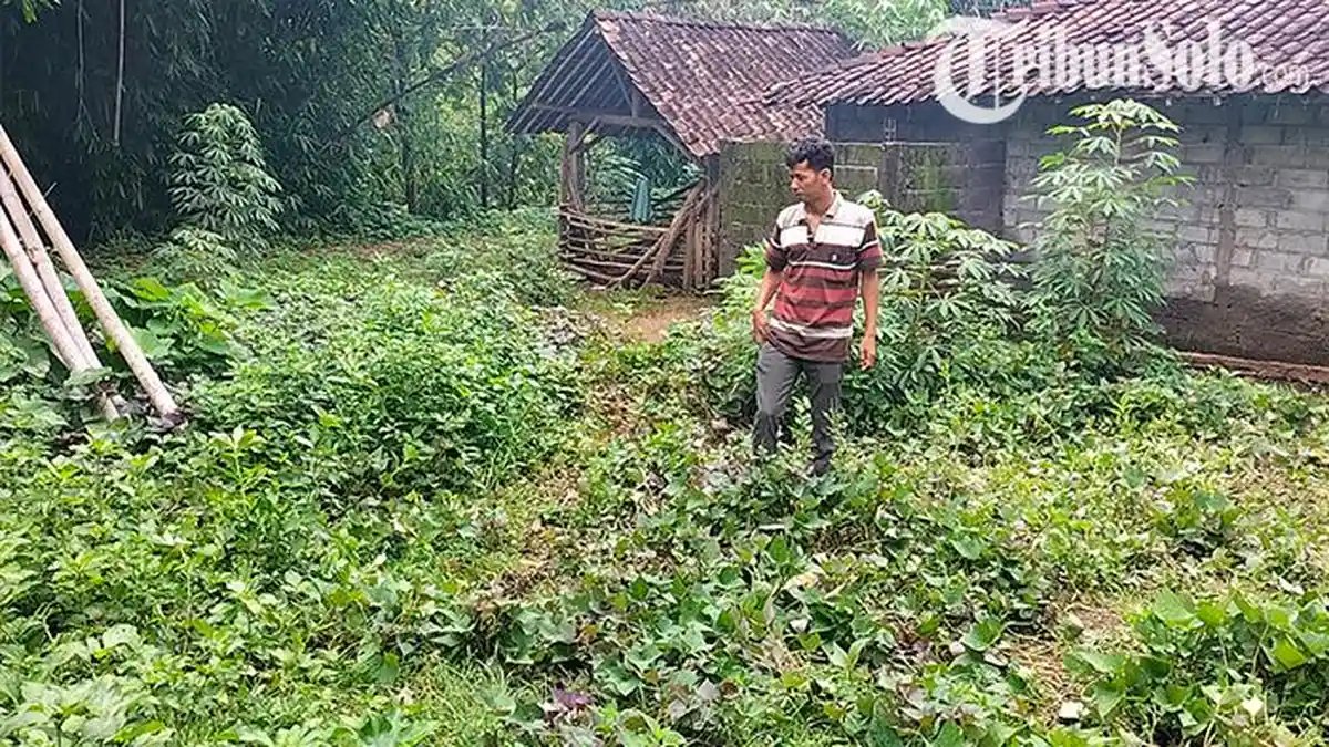 Sidang Kasus Anak Bunuh Ibu di Boyolali, Terdakwa Divonis Bebas dan Kirim ke RSJ