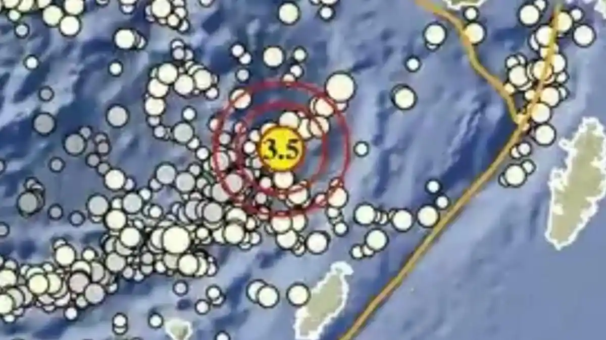 Gempa Bumi di Maluku Selasa 24 Maret 2026, Berikut Info BMKG