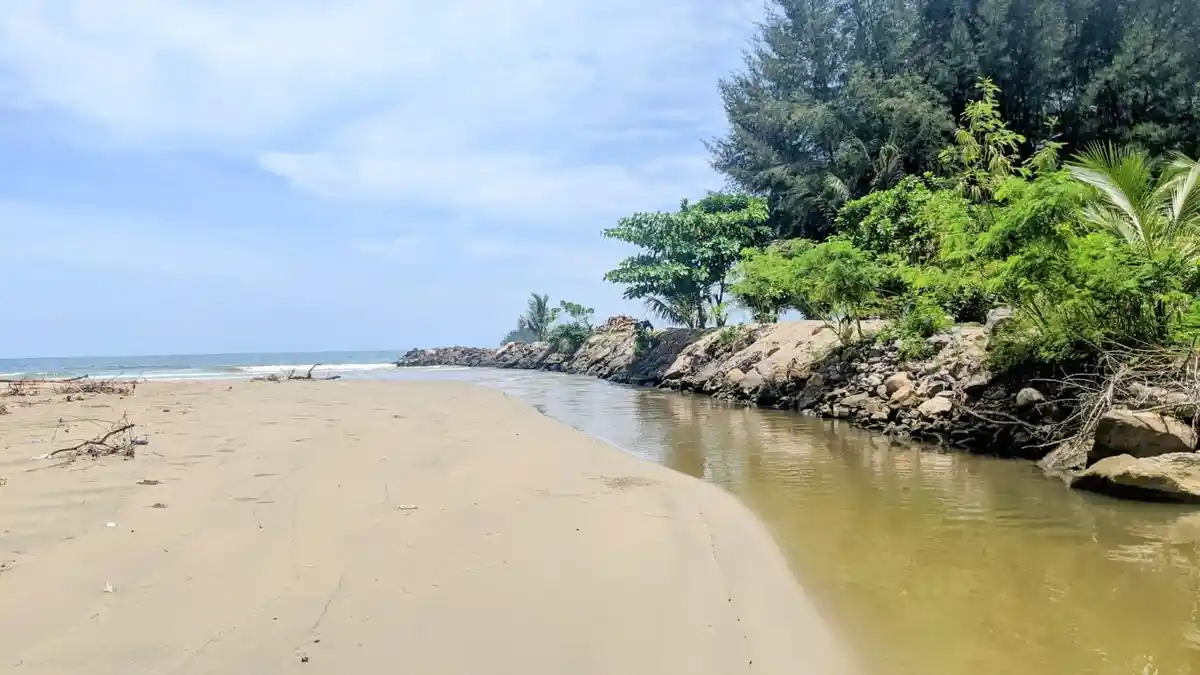 Muara Sungai Padang Panjang Tertutup Sedimentasi, Warga Minta ...