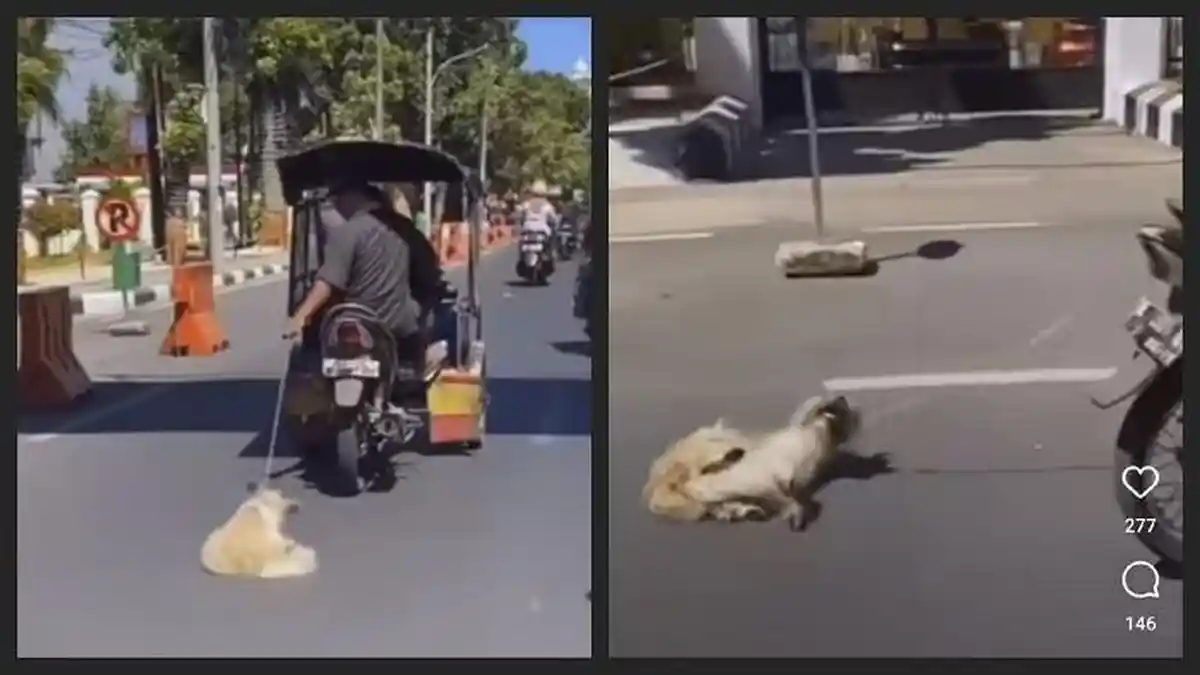 Viral Pengendara Motor di Makassar Seret Anjing di Jalanan, Buat Netizen Geram