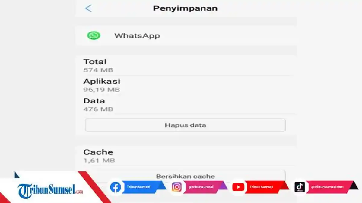 Tips Ampuh Agar WhatsApp di HP Tidak Boros Memori Penyimpanan Internal, Ini yang Harus Dilakukan