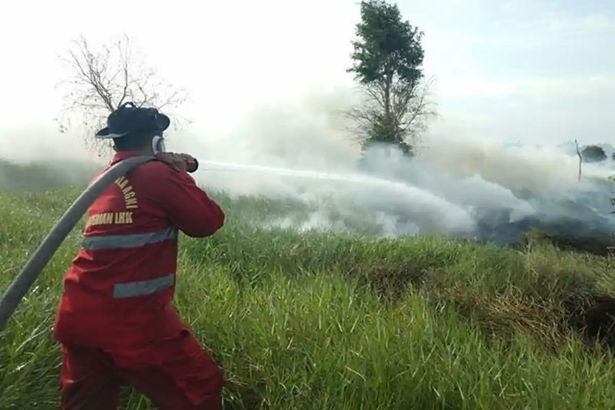 4 Hektar Lahan di Desa Ulak Petangisan Pemulutan Barat Terbakar, 3 Jam Baru Bisa Dipadamkan